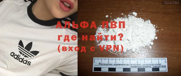 крисы Абаза