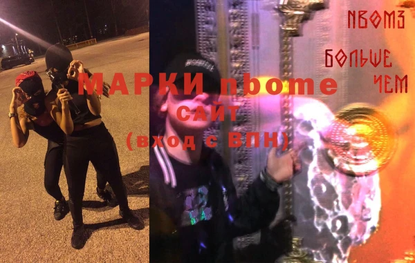 крисы Абаза