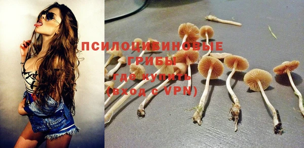 крисы Абаза
