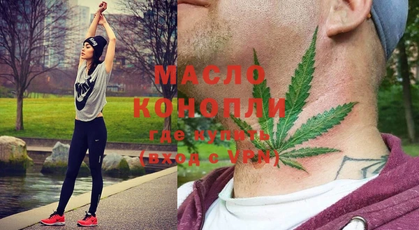 крисы Абаза